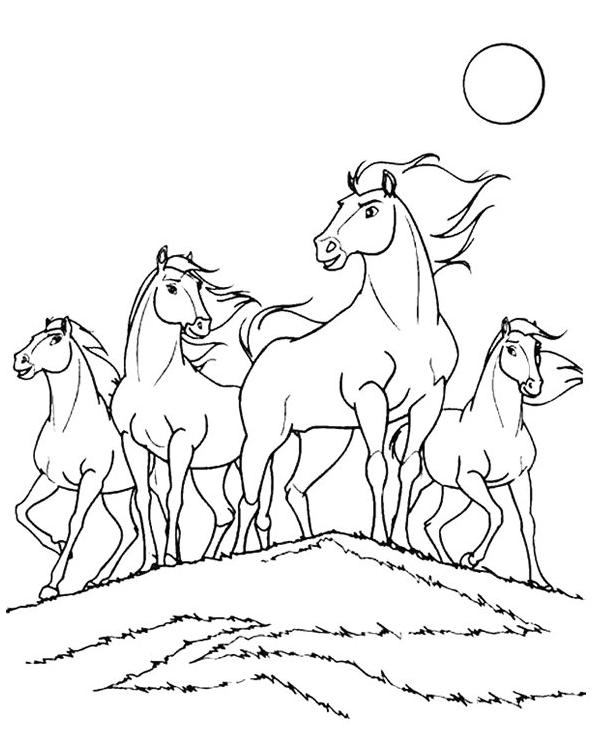 coloriage spirit et son troupeau